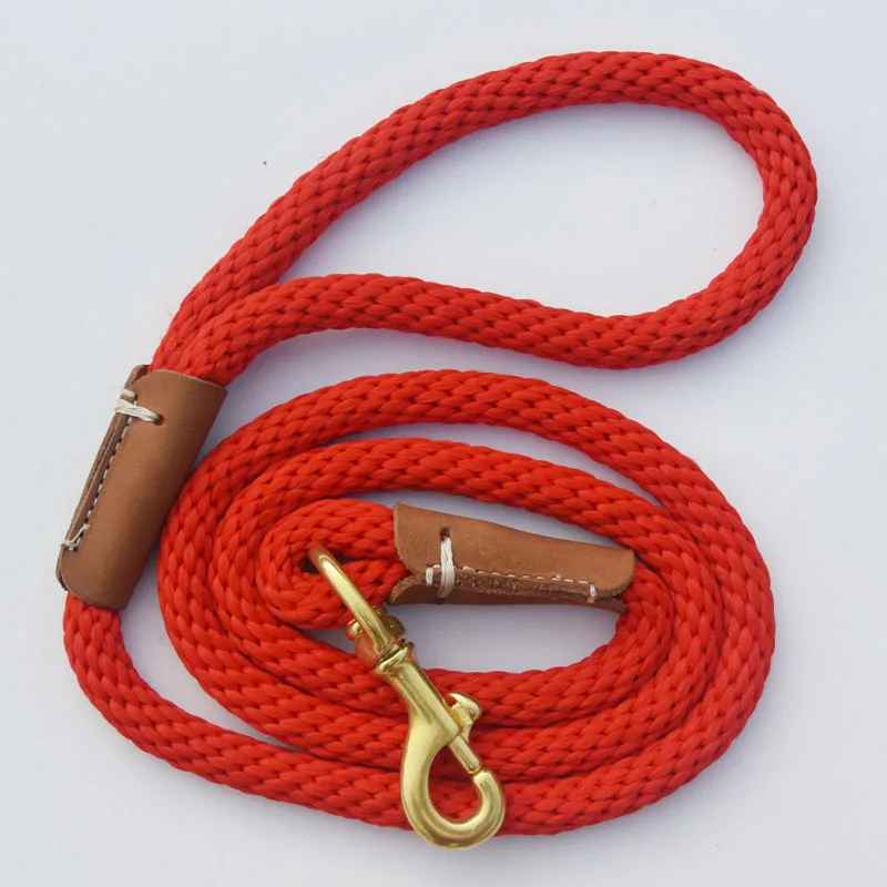 laisse en rouge