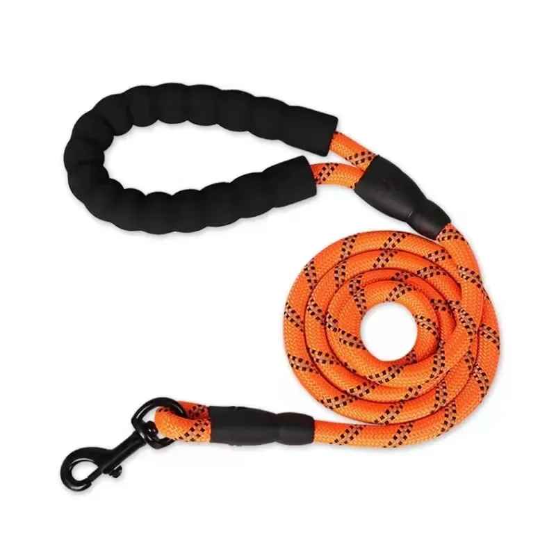 laisse orange chien