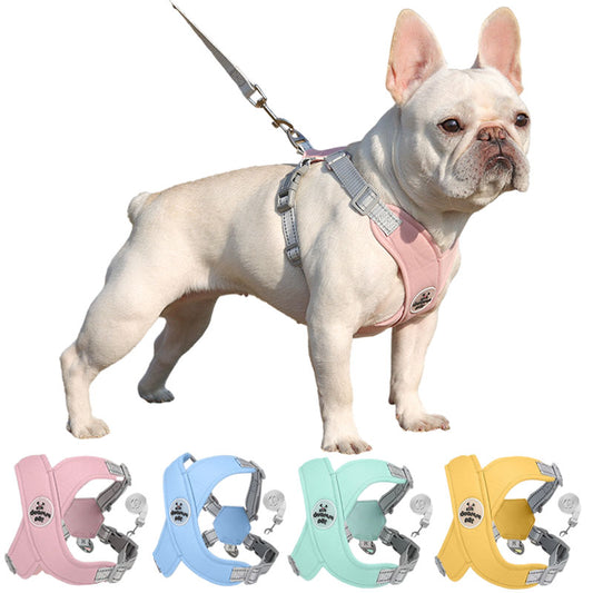 harnais pour chien avec laisse