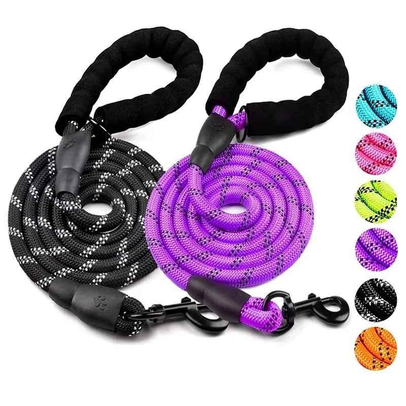 laisse pour chien couleurs