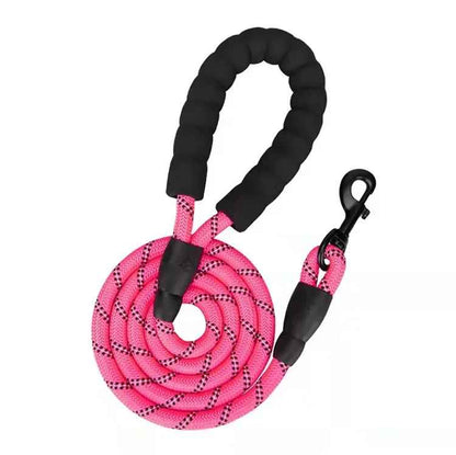 laisse rose chien