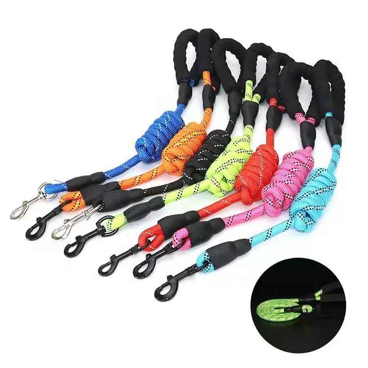 laisse solidite confort chien