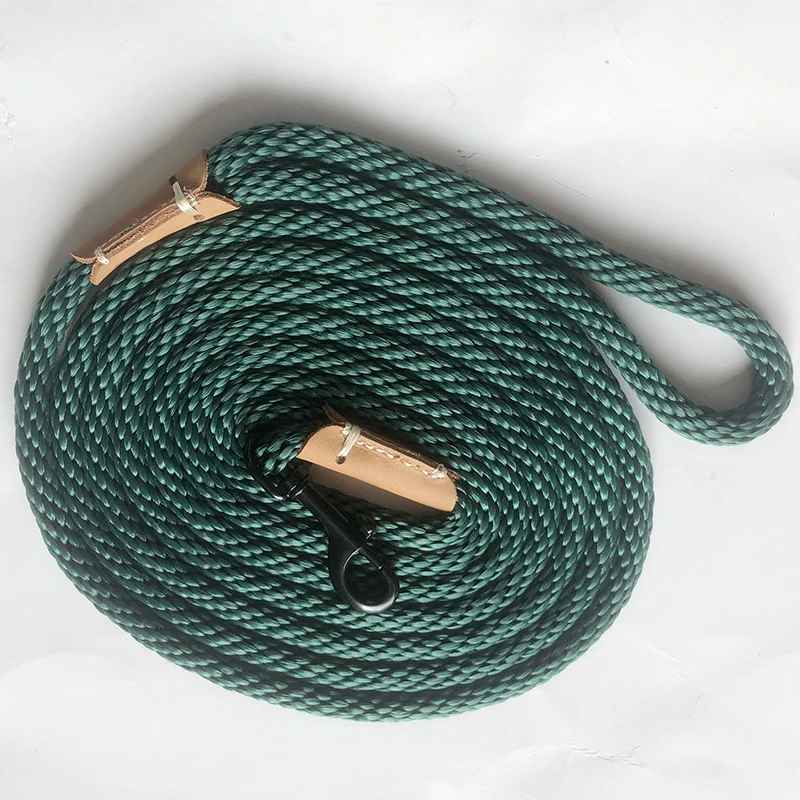 laisse-vert-clair