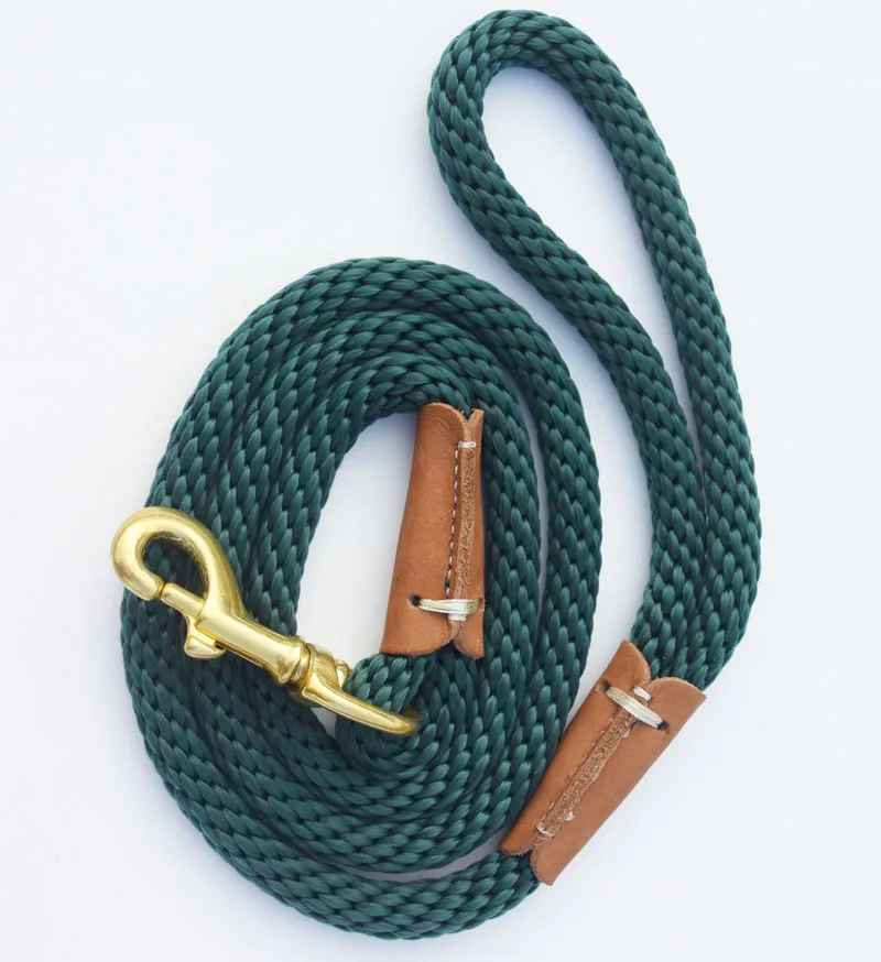 laisse verte