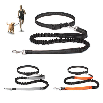 laisse homme fait sport avec son chien