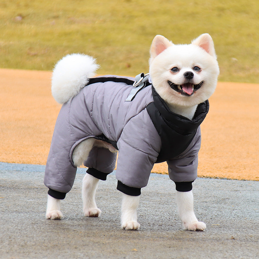 chaud manteau hiver porté par un chien 