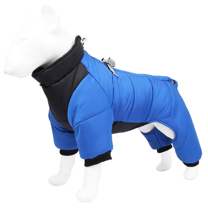 hiver manteau pour chien