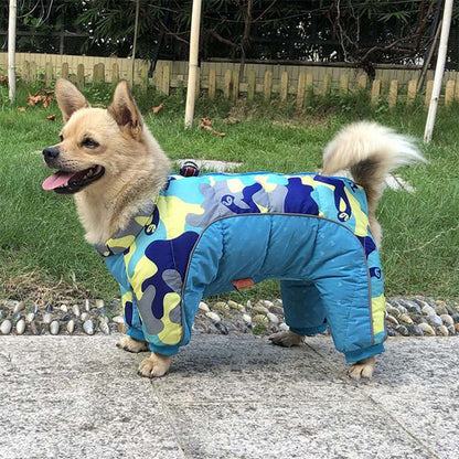 chien avec manteau imperméable hiver