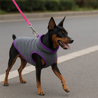 manteau veste gilet chien chaud