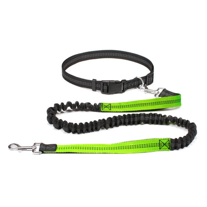 vert motif laisse pour chien