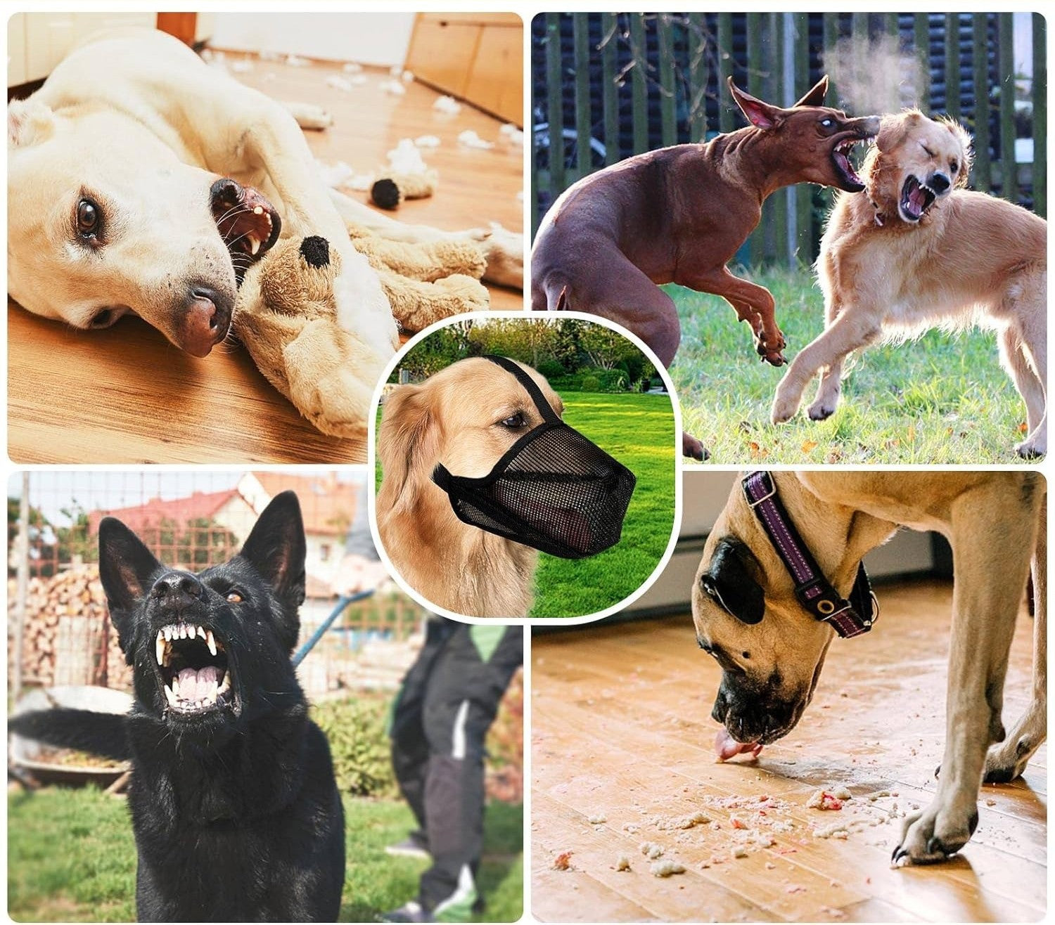 museliere chien antimorsure