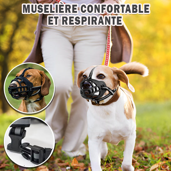 museliere chien confortable