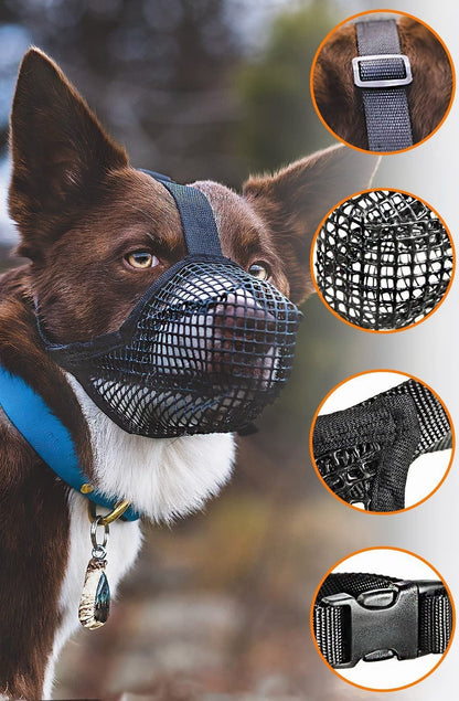 museliere chien respirante
