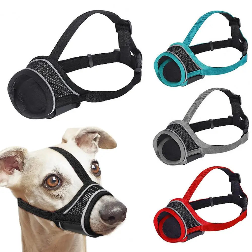 variétés de muselière pour chien