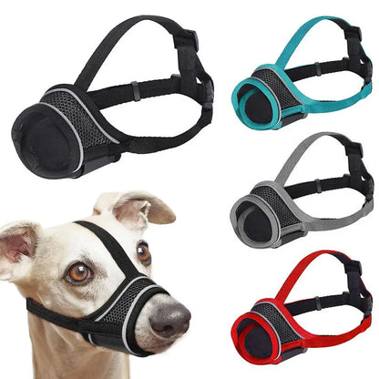 variétés de muselière pour chien