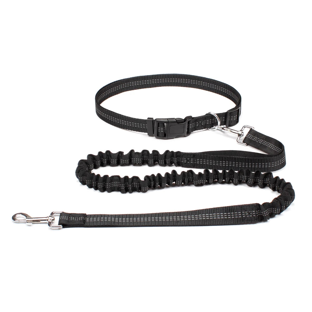 laisse pour chien élastique noir