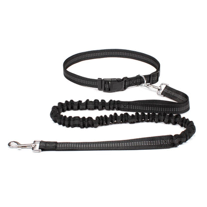 laisse pour chien élastique noir