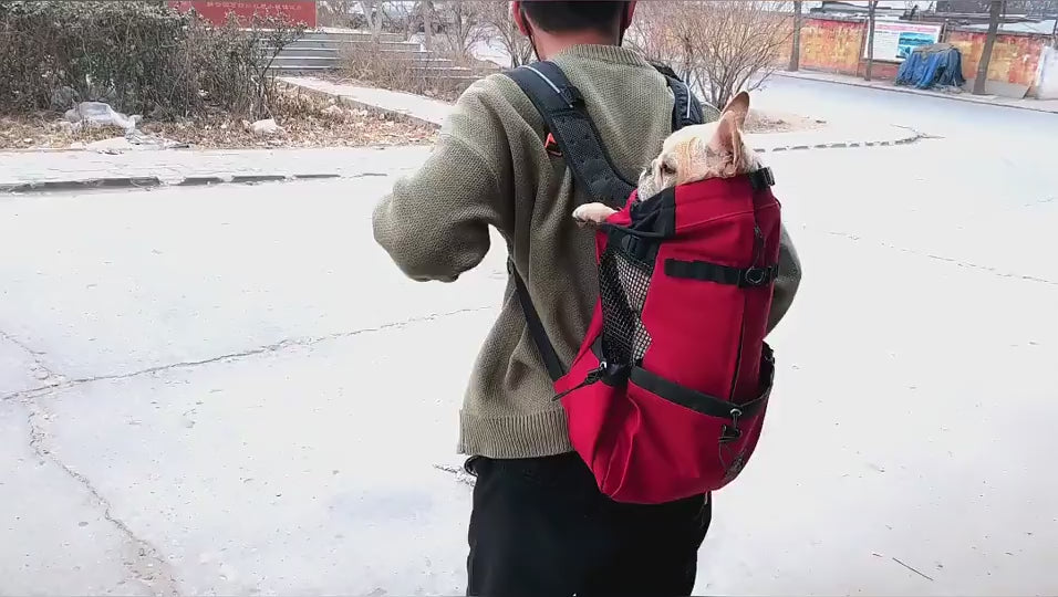sac a dos pour chien mouvement