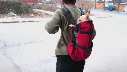 sac a dos pour chien mouvement