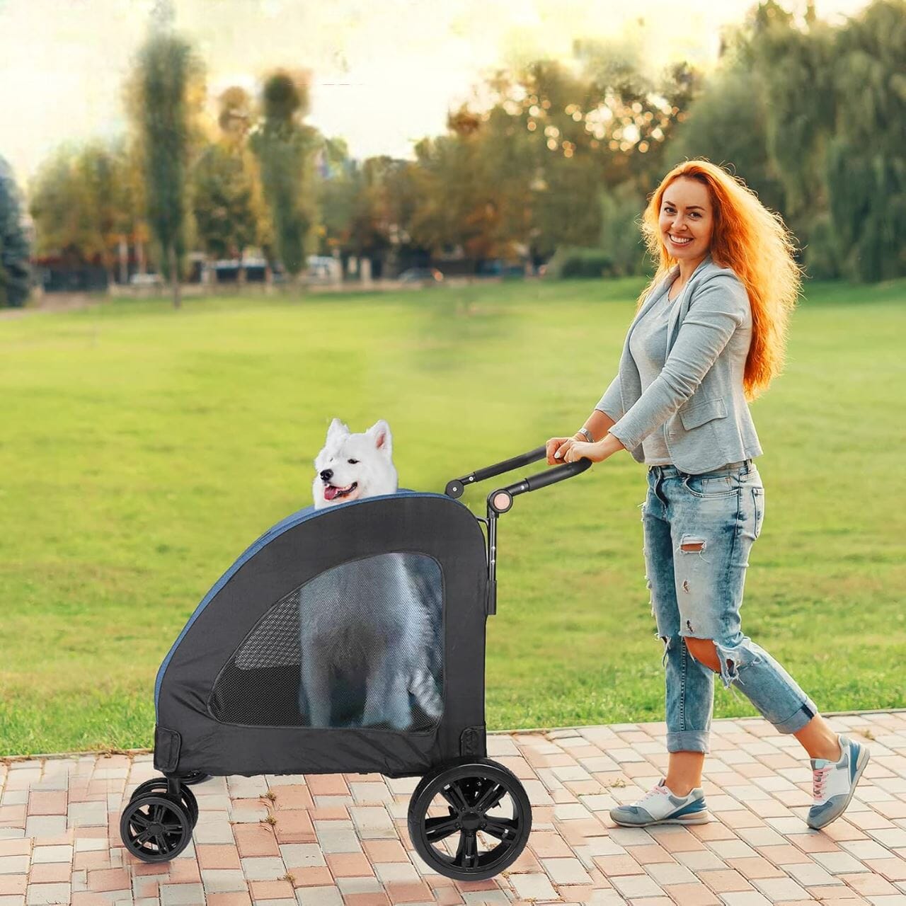 promener son chien poussette grande espace pliable