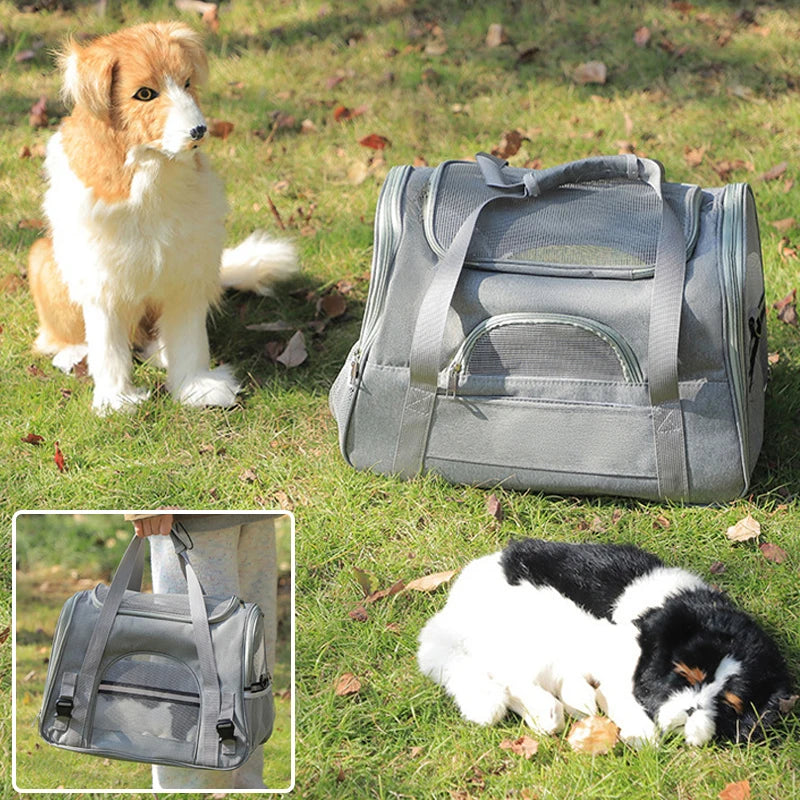 sac transport chien chien eterieur homme avec sac