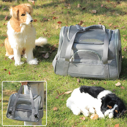 sac transport chien chien eterieur homme avec sac