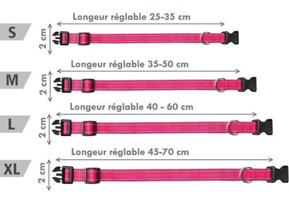 dimension collier pour chien en nylon