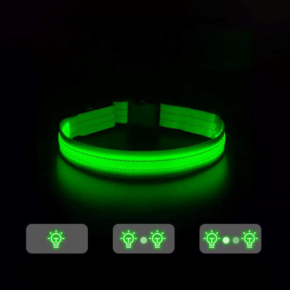 Collier Chien | LEDCollarDog™ - Vert