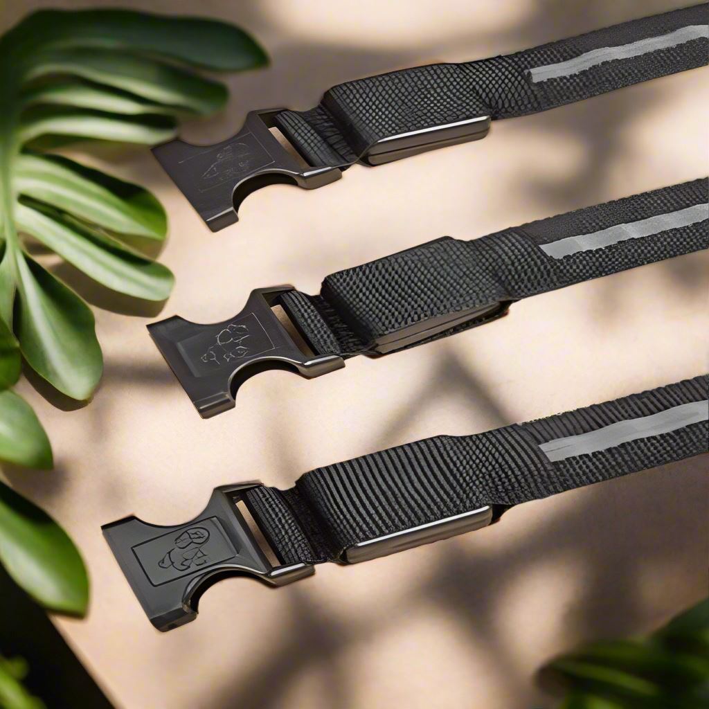 Collier Chien | LEDCollarDog™ - Noir