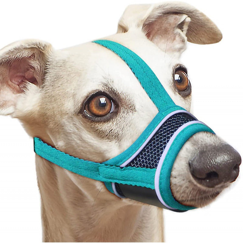 verte muselière pour chien réfléchissante